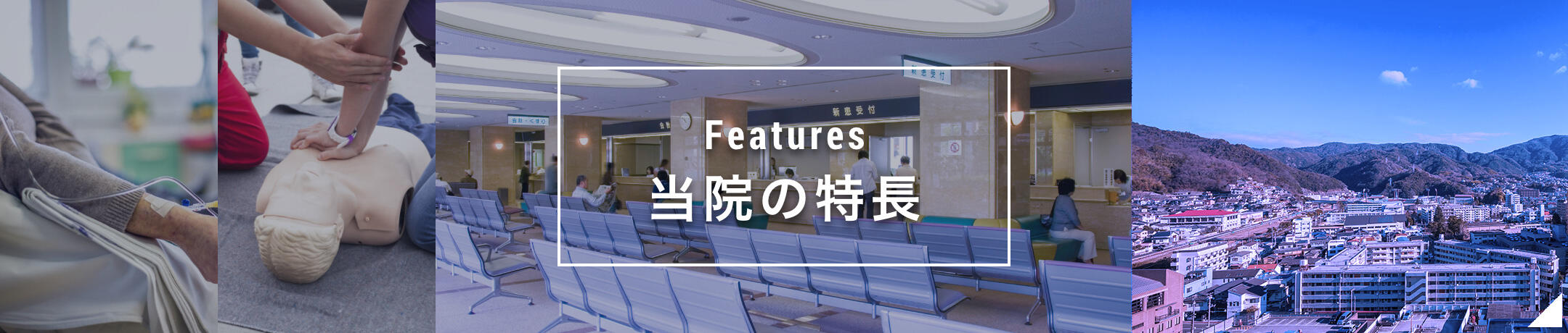 Features 私たちの特長